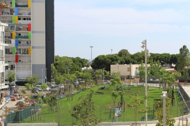 Nouveau square des jacarandas
