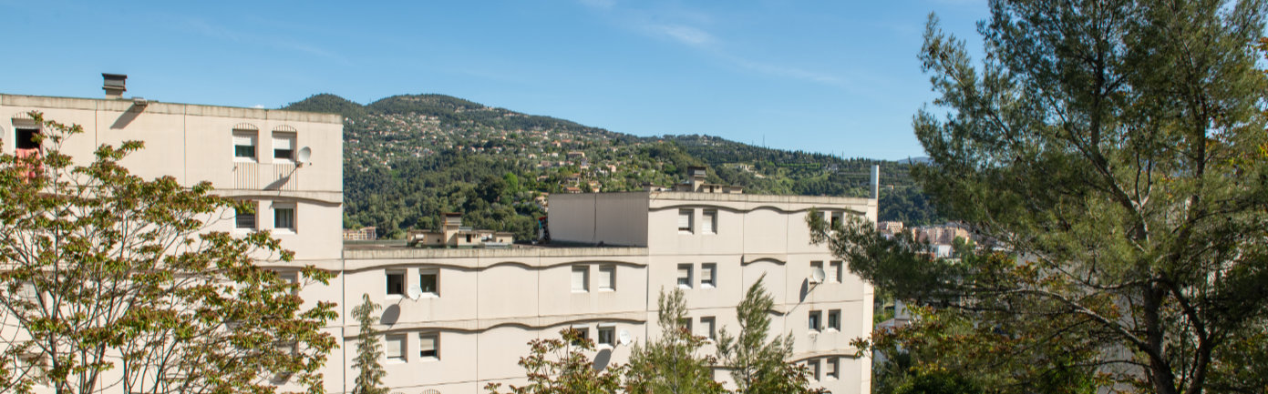 Liserons-vie-de-quartier